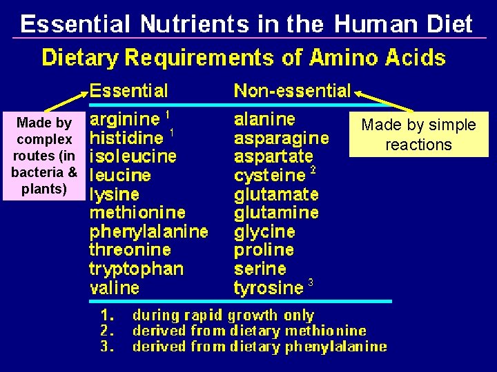 Made by complex routes (in bacteria & plants) Made by simple reactions 