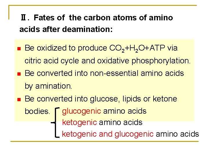Ⅱ. Fates of the carbon atoms of amino acids after deamination: n Be oxidized