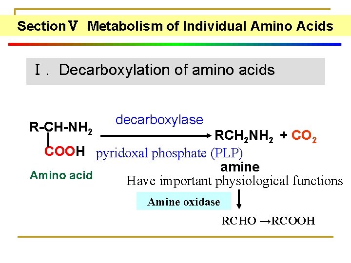 SectionⅤ Metabolism of Individual Amino Acids Ⅰ. Decarboxylation of amino acids R-CH-NH 2 decarboxylase