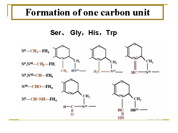 Formation of one carbon unit Ser、 Gly，His，Trp 