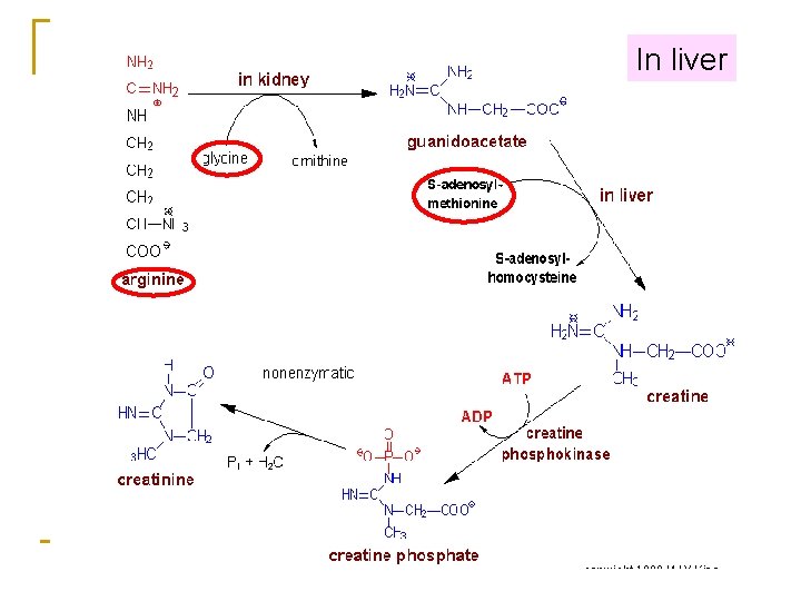 In liver 