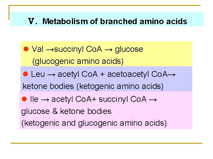 Ⅴ. Metabolism of branched amino acids l Val →succinyl Co. A → glucose (glucogenic