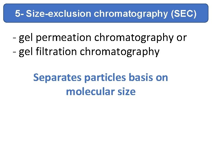 5 - Size-exclusion chromatography (SEC) - gel permeation chromatography or - gel filtration chromatography