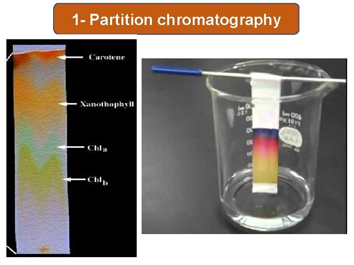 1 - Partition chromatography 