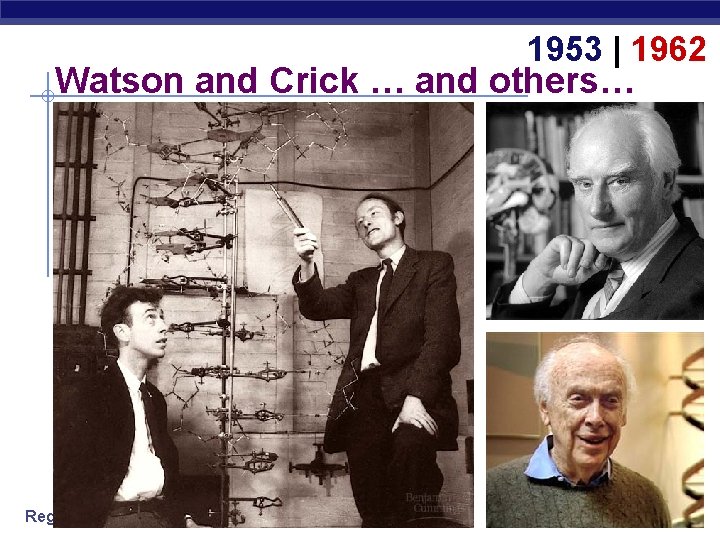 1953 | 1962 Watson and Crick … and others… Regents Biology 