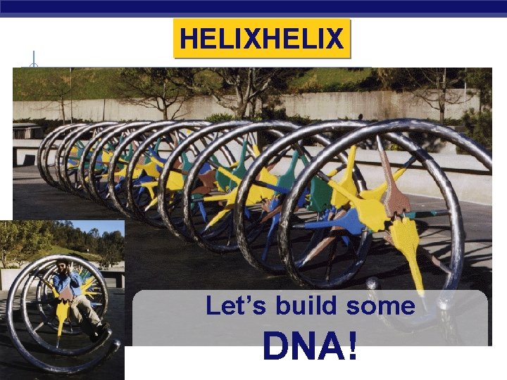 HELIX Let’s build some Regents Biology DNA! 