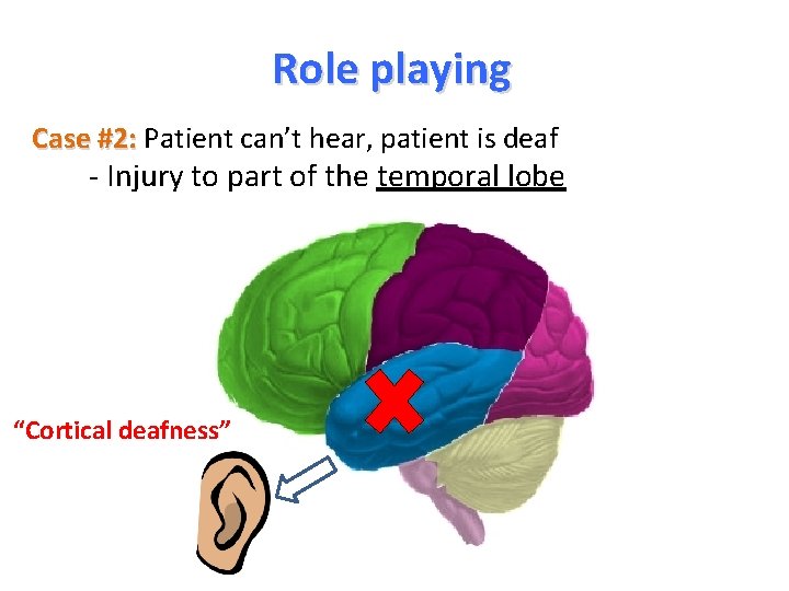 Role playing Case #2: Patient can’t hear, patient is deaf - Injury to part