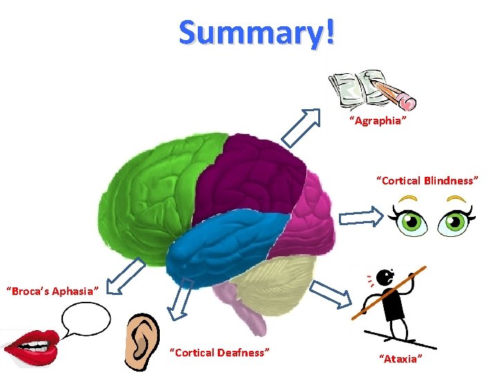 Summary! “Agraphia” “Cortical Blindness” “Broca’s Aphasia” “Cortical Deafness” “Ataxia” 