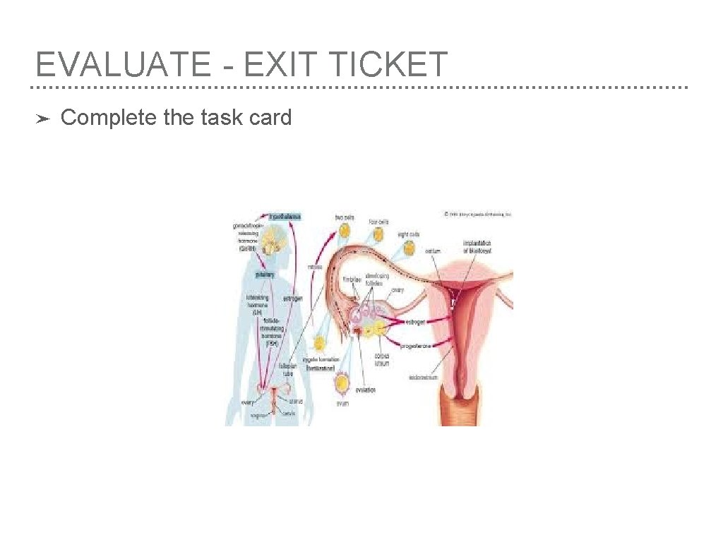 EVALUATE - EXIT TICKET ➤ Complete the task card 