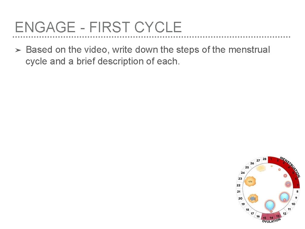 ENGAGE - FIRST CYCLE ➤ Based on the video, write down the steps of