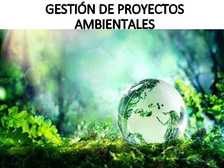 GESTIÓN DE PROYECTOS AMBIENTALES 