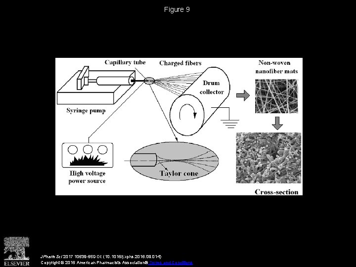 Figure 9 JPharm. Sci 2017 10639 -65 DOI: (10. 1016/j. xphs. 2016. 09. 014)