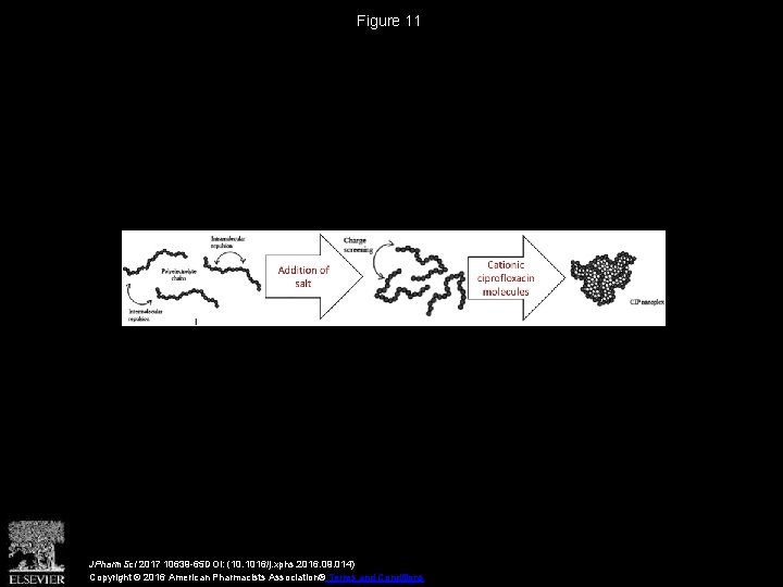Figure 11 JPharm. Sci 2017 10639 -65 DOI: (10. 1016/j. xphs. 2016. 09. 014)