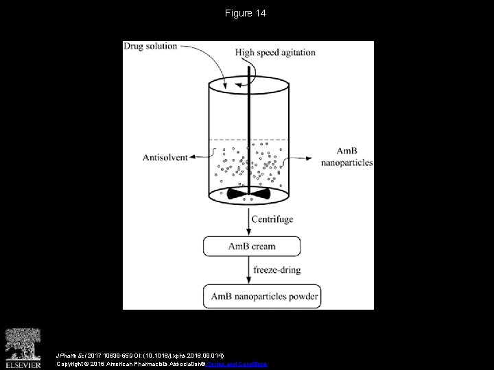 Figure 14 JPharm. Sci 2017 10639 -65 DOI: (10. 1016/j. xphs. 2016. 09. 014)