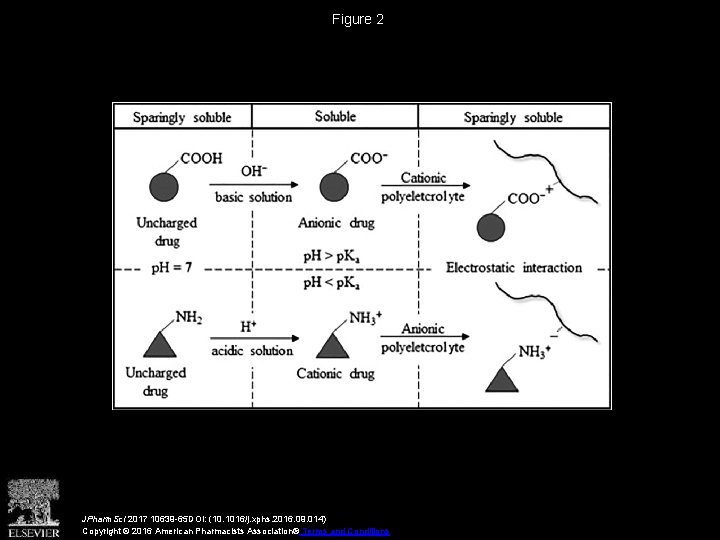 Figure 2 JPharm. Sci 2017 10639 -65 DOI: (10. 1016/j. xphs. 2016. 09. 014)