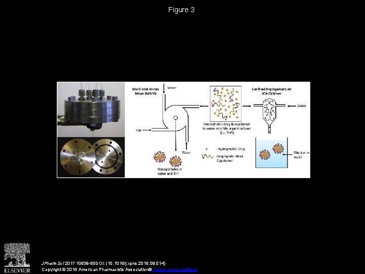 Figure 3 JPharm. Sci 2017 10639 -65 DOI: (10. 1016/j. xphs. 2016. 09. 014)
