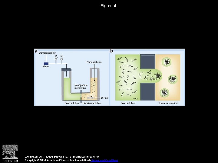 Figure 4 JPharm. Sci 2017 10639 -65 DOI: (10. 1016/j. xphs. 2016. 09. 014)