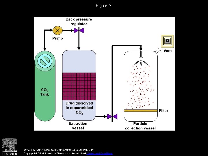 Figure 5 JPharm. Sci 2017 10639 -65 DOI: (10. 1016/j. xphs. 2016. 09. 014)