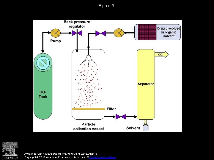 Figure 6 JPharm. Sci 2017 10639 -65 DOI: (10. 1016/j. xphs. 2016. 09. 014)