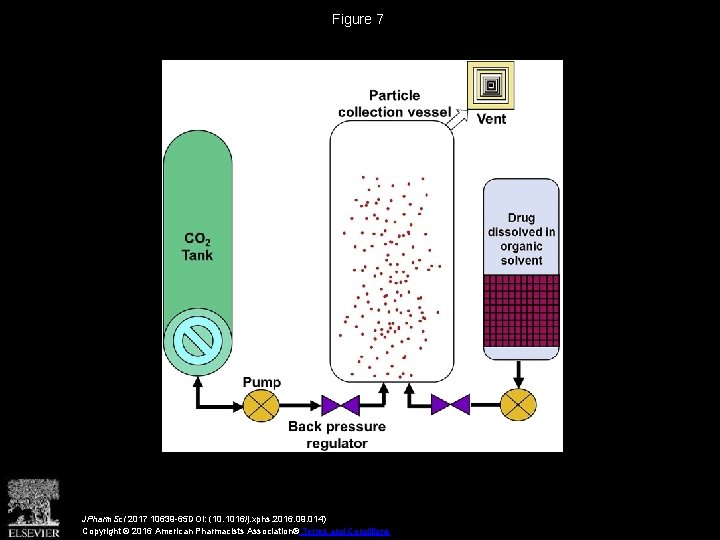 Figure 7 JPharm. Sci 2017 10639 -65 DOI: (10. 1016/j. xphs. 2016. 09. 014)