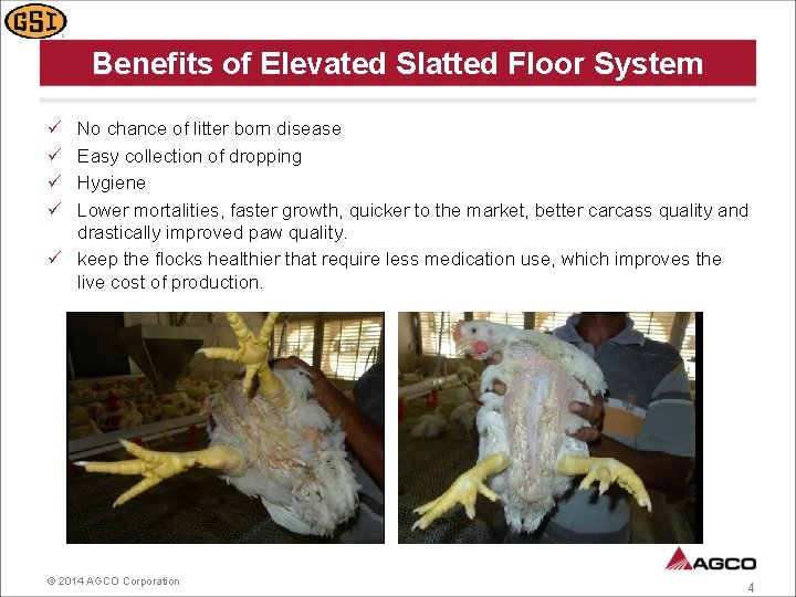 Benefits of Elevated Slatted Floor System ü ü No chance of litter born disease