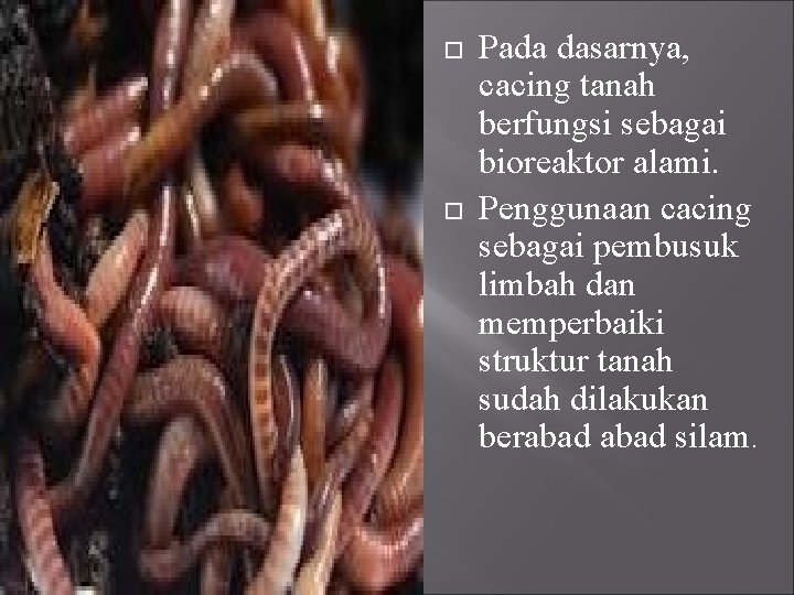  Pada dasarnya, cacing tanah berfungsi sebagai bioreaktor alami. Penggunaan cacing sebagai pembusuk limbah