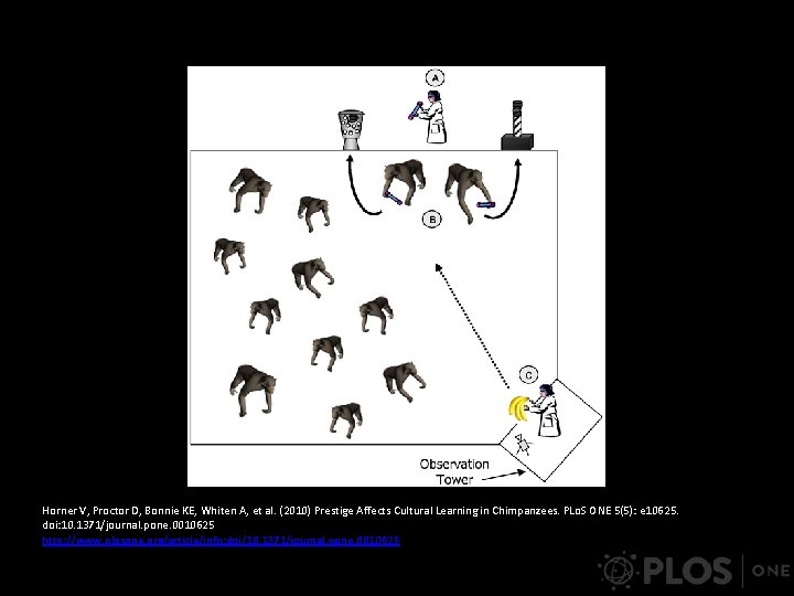 Horner V, Proctor D, Bonnie KE, Whiten A, et al. (2010) Prestige Affects Cultural