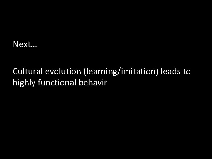 Next… Cultural evolution (learning/imitation) leads to highly functional behavir 