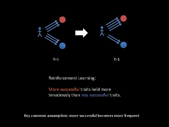 T=0 T=1 Reinforcement Learning: More successful traits held more tenaciously than less successful traits.