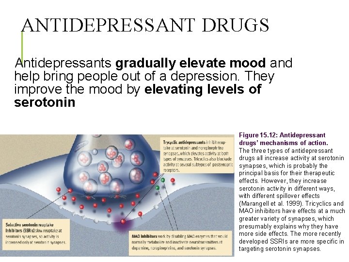 ANTIDEPRESSANT DRUGS Antidepressants gradually elevate mood and help bring people out of a depression.