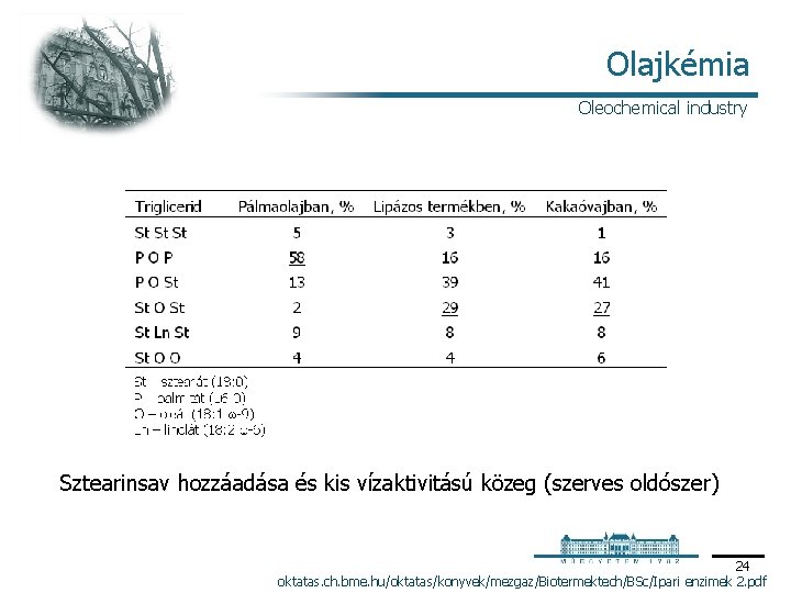 Olajkémia Oleochemical industry Sztearinsav hozzáadása és kis vízaktivitású közeg (szerves oldószer) 24 oktatas. ch.