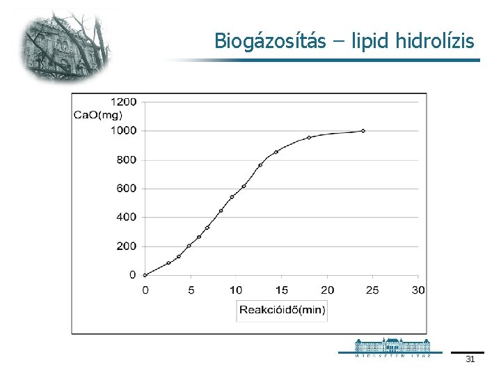Biogázosítás – lipid hidrolízis 31 