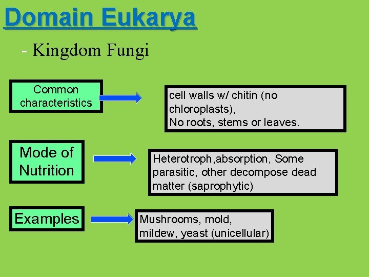 Domain Eukarya - Kingdom Fungi Common characteristics Mode of Nutrition Examples cell walls w/