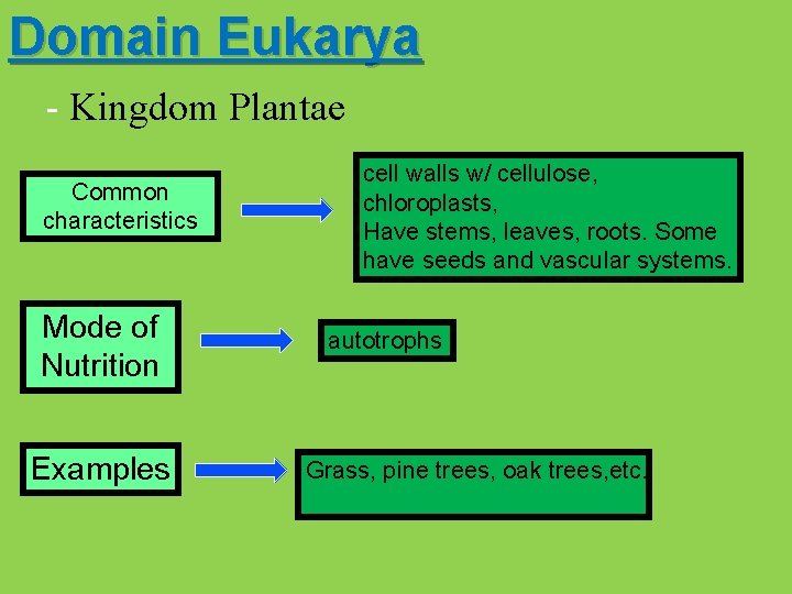 Domain Eukarya - Kingdom Plantae Common characteristics Mode of Nutrition Examples cell walls w/