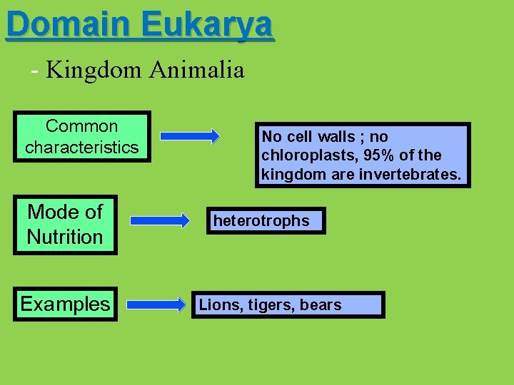 Domain Eukarya - Kingdom Animalia Common characteristics Mode of Nutrition Examples No cell walls