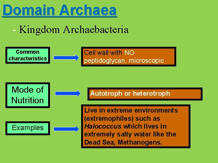 Domain Archaea - Kingdom Archaebacteria Common characteristics Cell wall with NO peptidoglycan, microscopic Mode