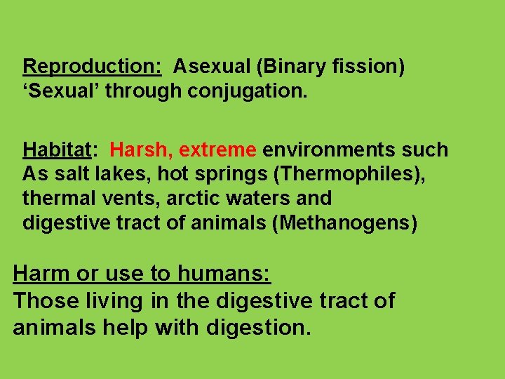 Reproduction: Asexual (Binary fission) ‘Sexual’ through conjugation. Habitat: Harsh, extreme environments such As salt