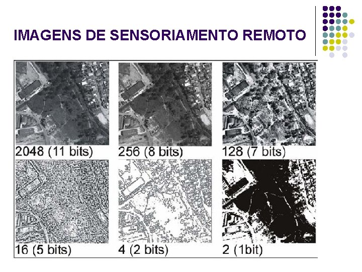 IMAGENS DE SENSORIAMENTO REMOTO 