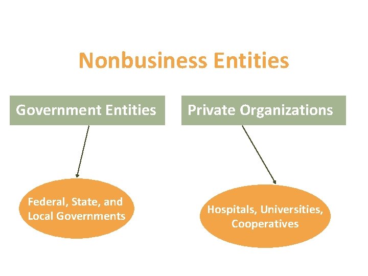 Nonbusiness Entities Government Entities Federal, State, and Local Governments Private Organizations Hospitals, Universities, Cooperatives