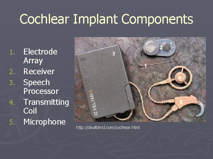 Cochlear Implant Components 1. 2. 3. 4. 5. Electrode Array Receiver Speech Processor Transmitting