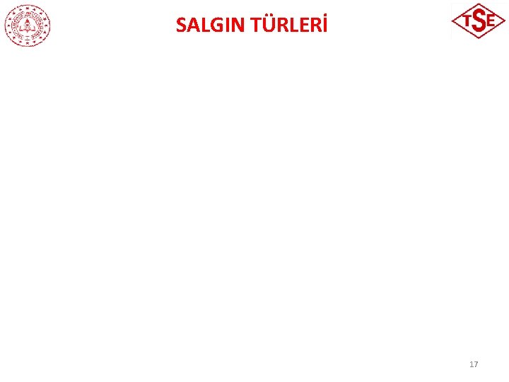 SALGIN TÜRLERİ 17 