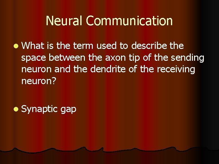 Neural Communication l What is the term used to describe the space between the