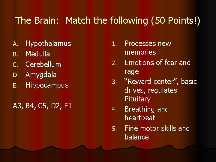 The Brain: Match the following (50 Points!) Hypothalamus B. Medulla C. Cerebellum D. Amygdala