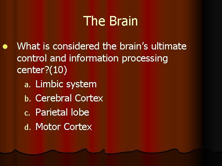The Brain l What is considered the brain’s ultimate control and information processing center?