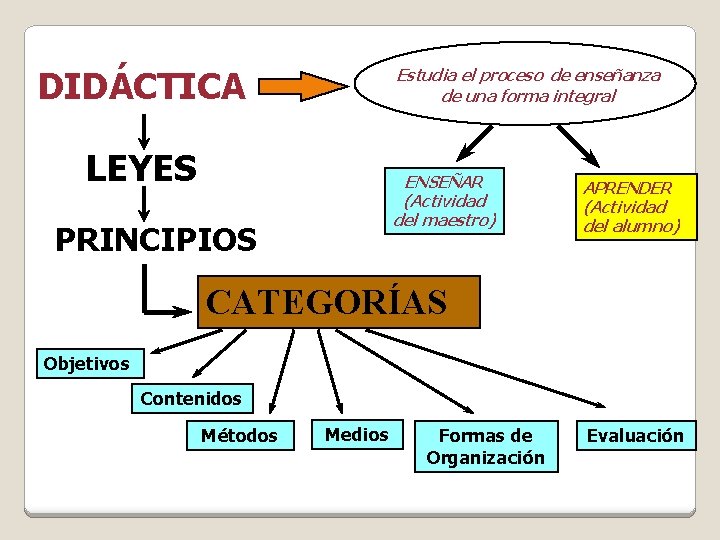 DIDÁCTICA Estudia el proceso de enseñanza de una forma integral LEYES ENSEÑAR (Actividad del