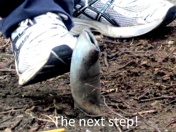 The next step! 