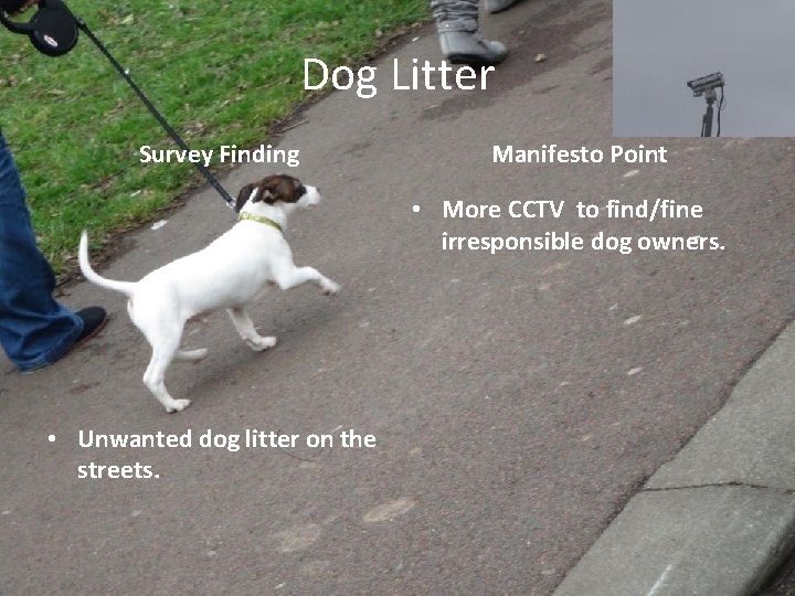 Dog Litter Survey Finding Manifesto Point • More CCTV to find/fine irresponsible dog owners.