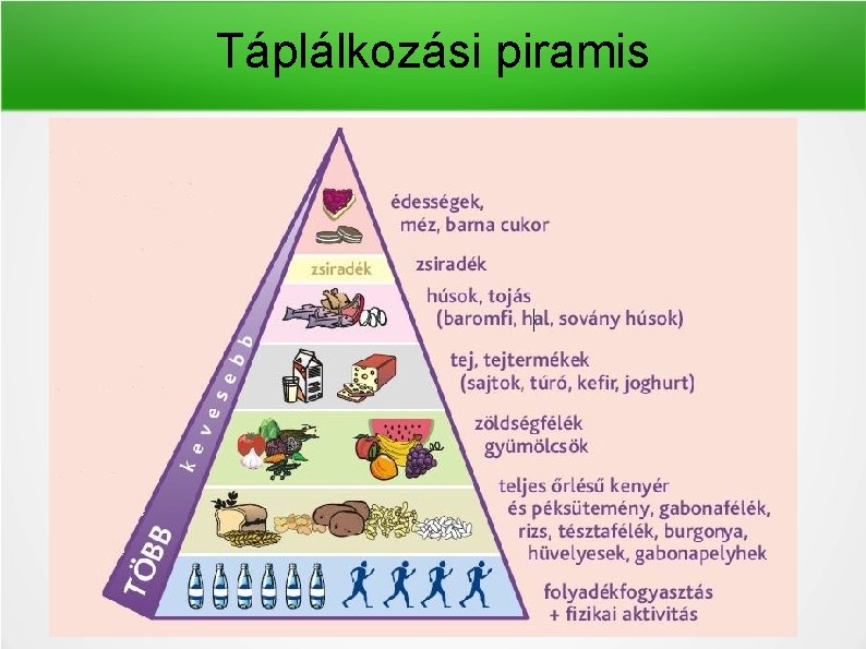 Táplálkozási piramis 