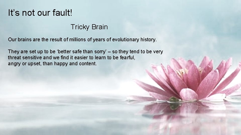 It’s not our fault! Tricky Brain Our brains are the result of millions of