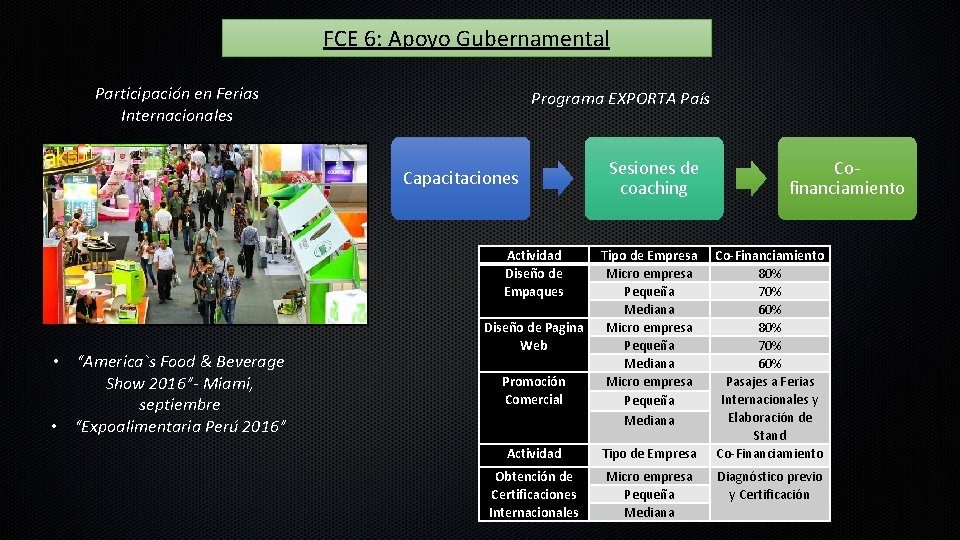 FCE 6: Apoyo Gubernamental Participación en Ferias Internacionales Programa EXPORTA País Capacitaciones Actividad Diseño